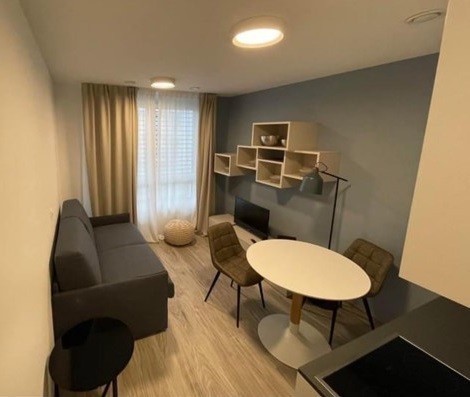 Appartement de 1 ½ pièces, photo 4 sur 4