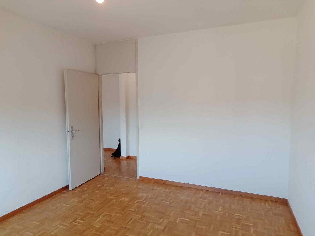 2 rooms apartment, photo 3 sur 7