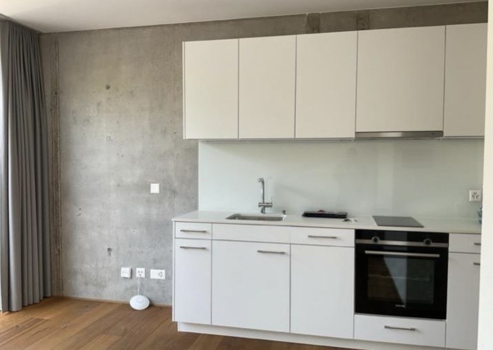 Appartement 1 ½ pièces, photo 4 sur 5