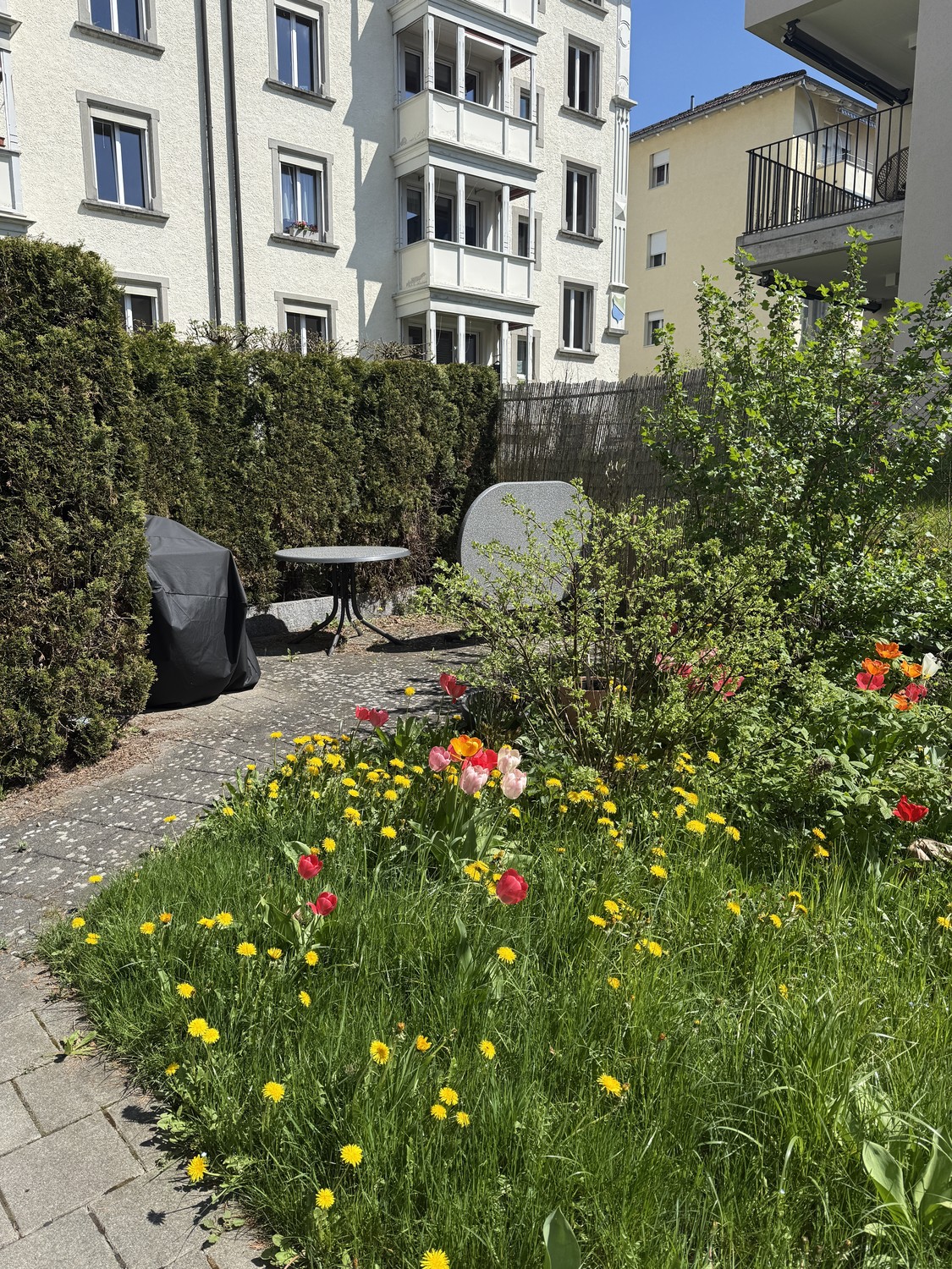 Appartement de 3 ½ pièces, photo 10 sur 10