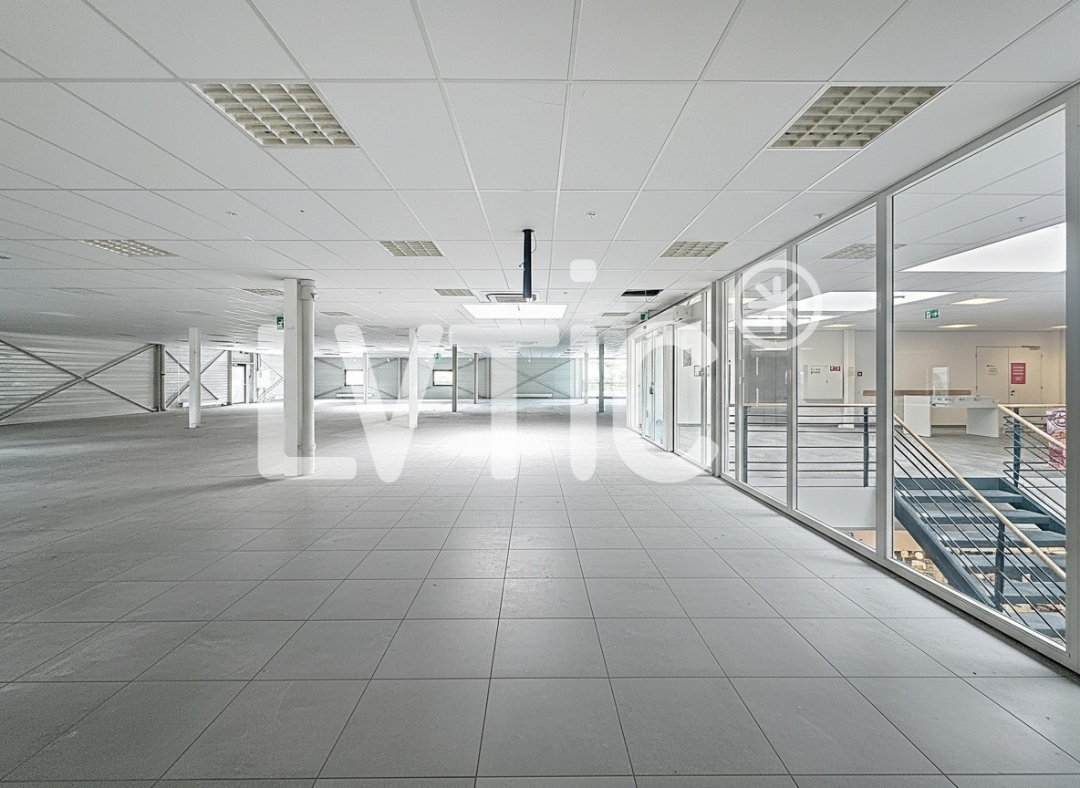 negozio di 1665m²