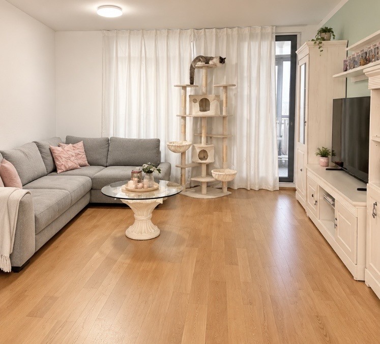 Appartement de 2 ½ pièces, photo 1 sur 6