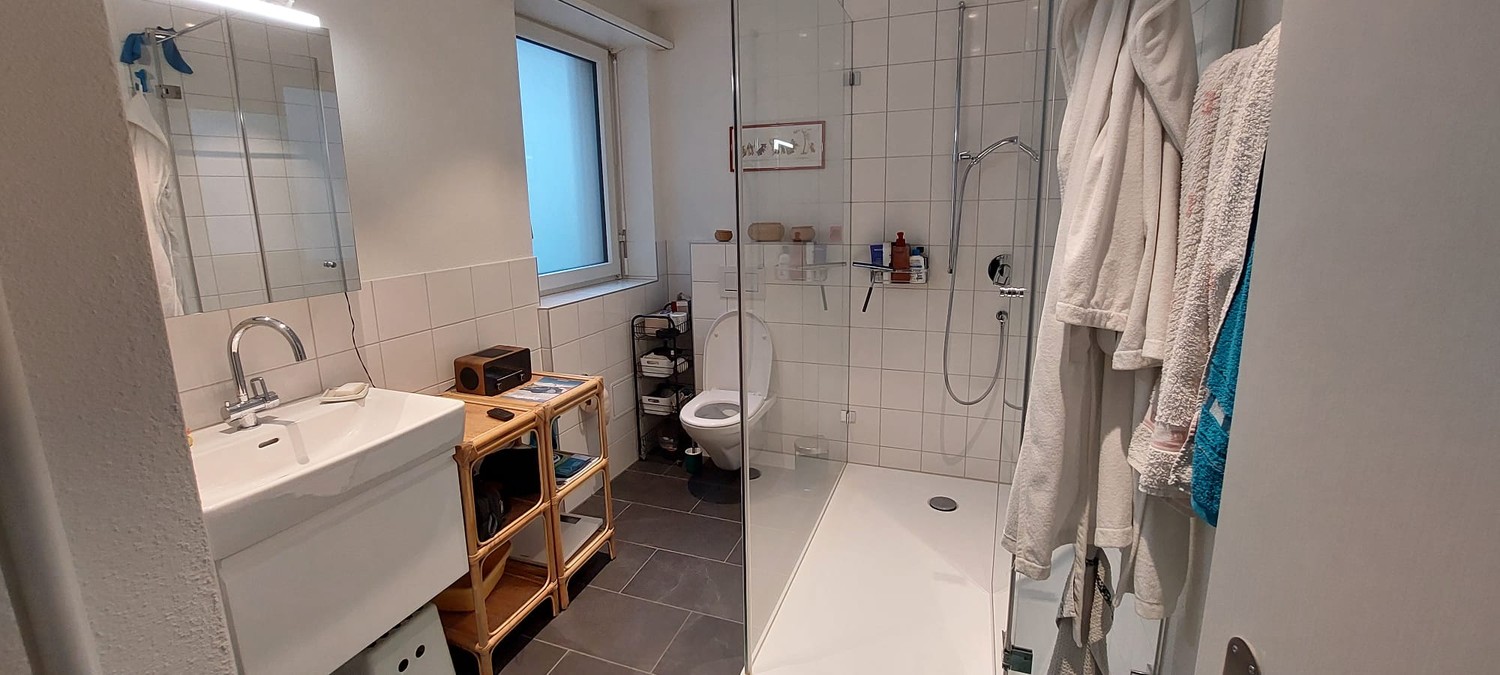 Appartement de 3 ½ pièces