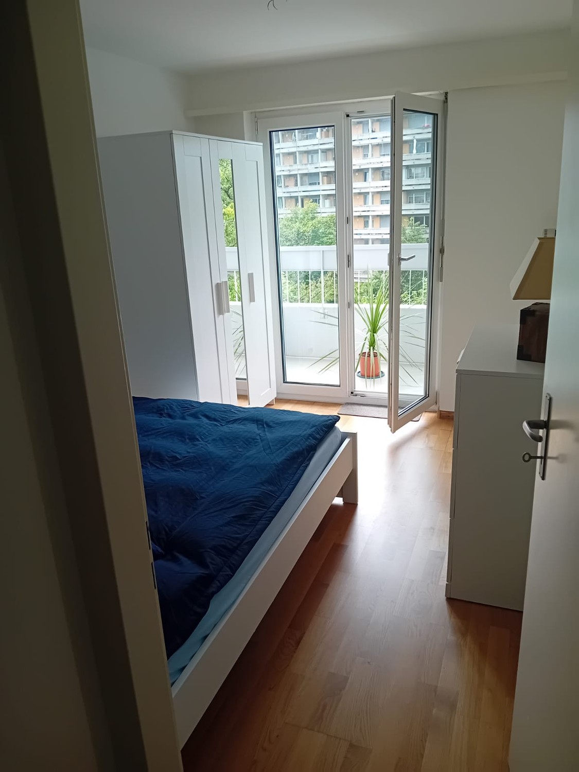 Chambre dans une colocation