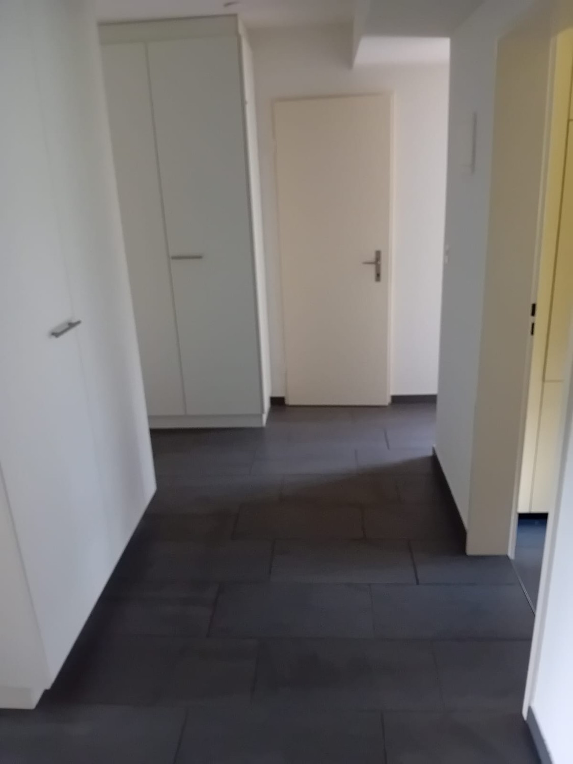Chambre dans une colocation