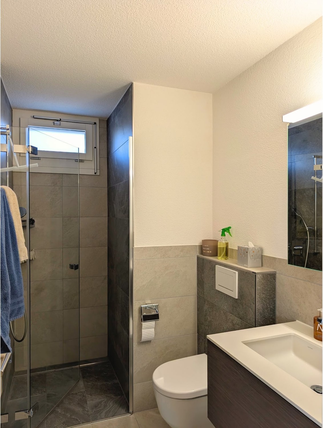 Appartement de 3 ½ pièces