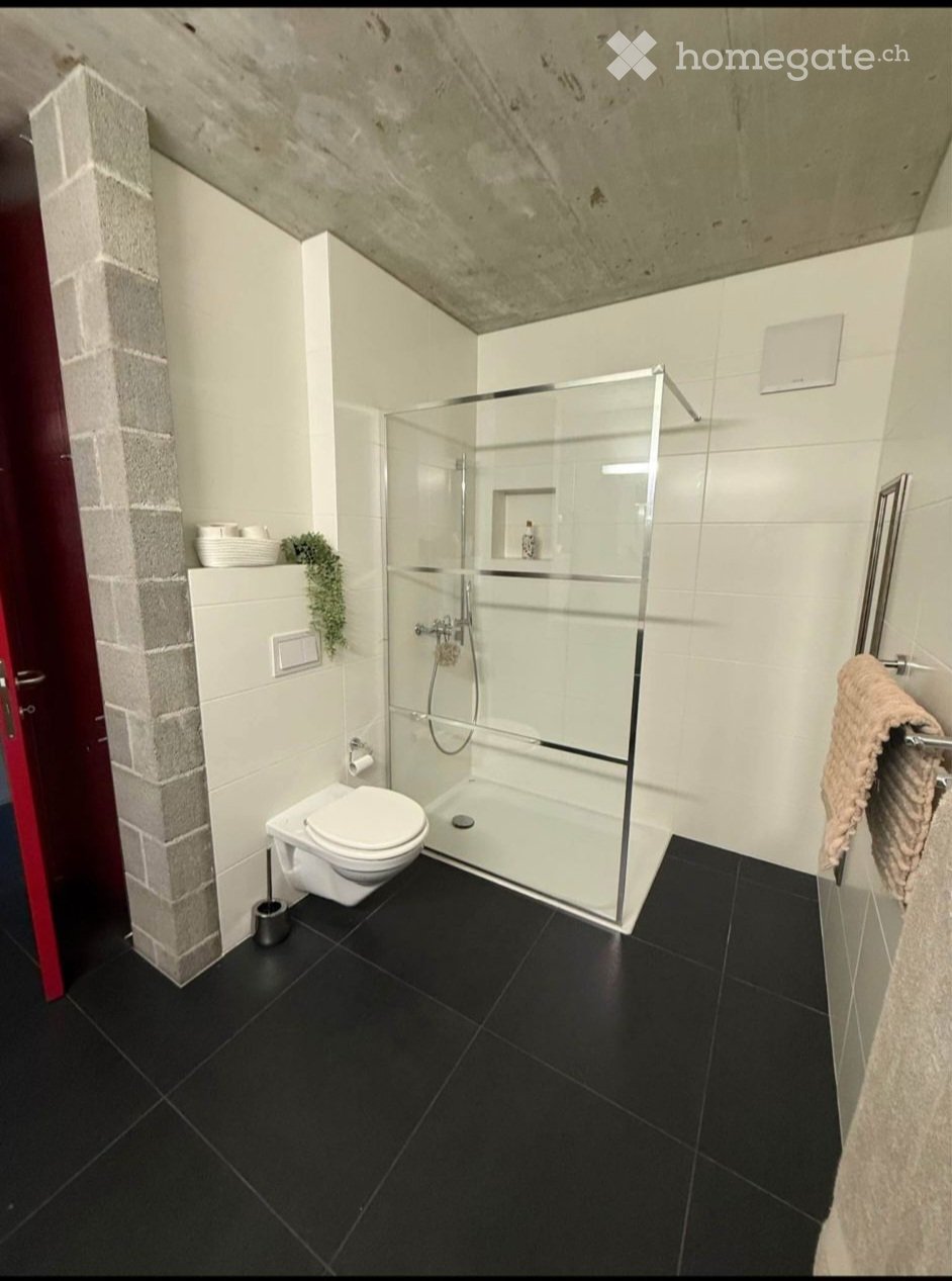 Maison individuelle de 5 ½ pièces, photo 4 sur 5
