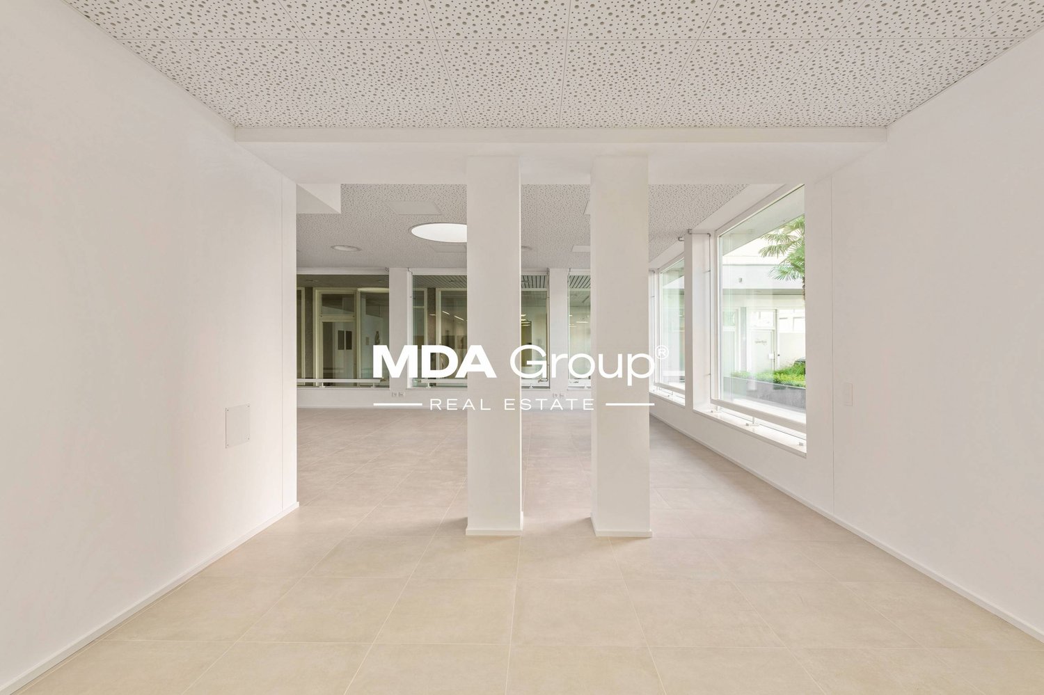 Magasin de 205m²
