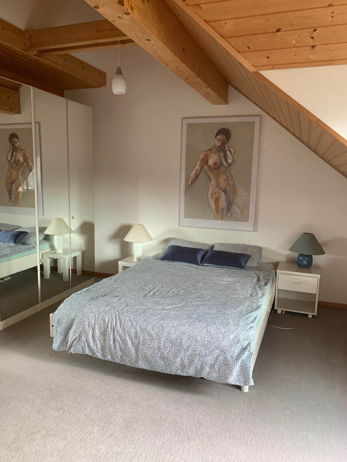 maison individuelle de 3 ½ pièces
