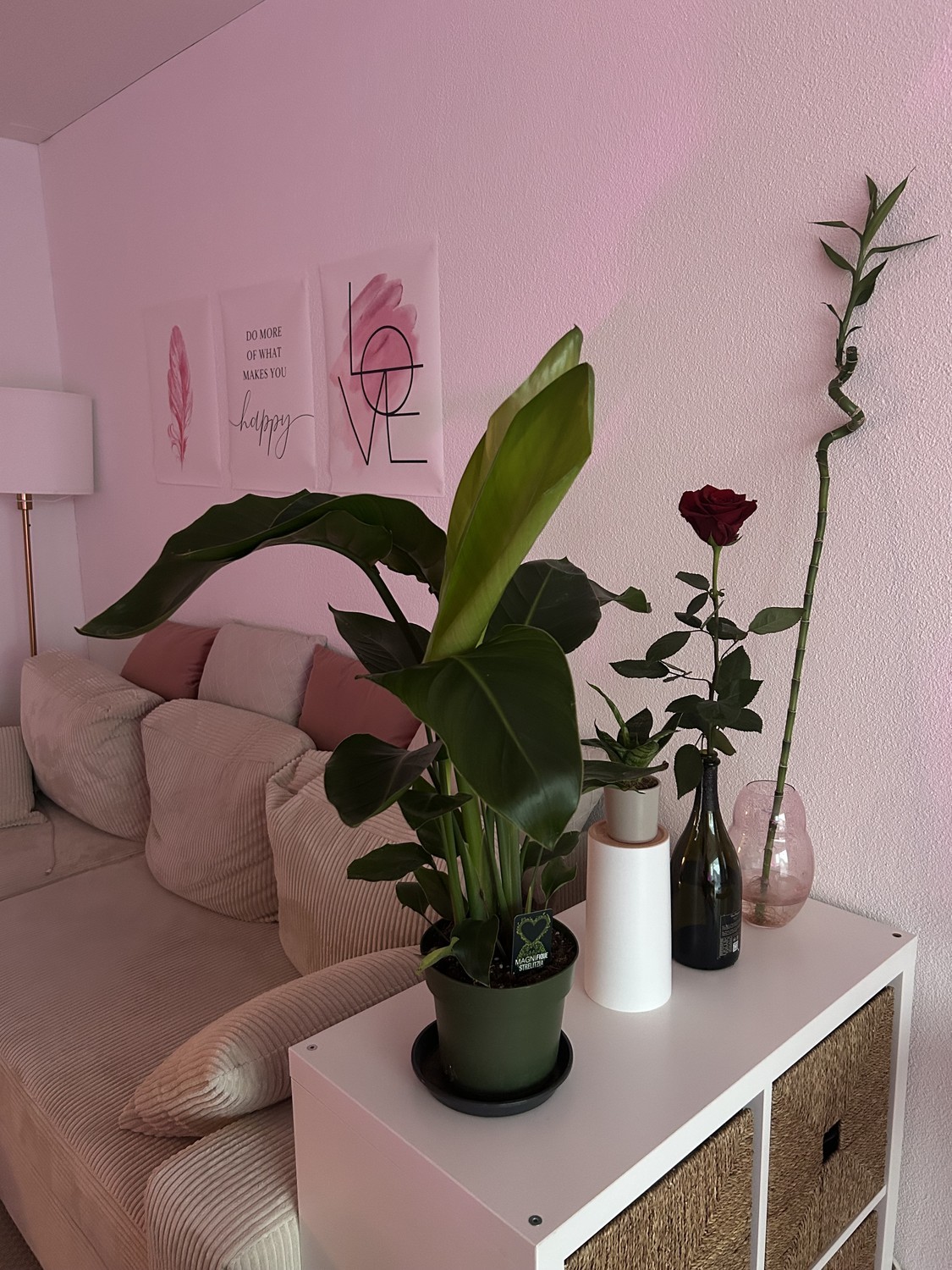 Appartement de 2 ½ pièces