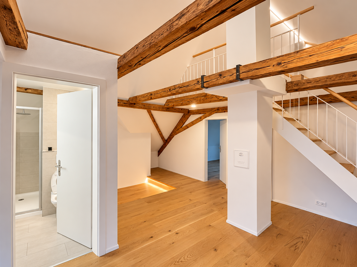 Duplex de 2 ½ pièces, photo 1 sur 10