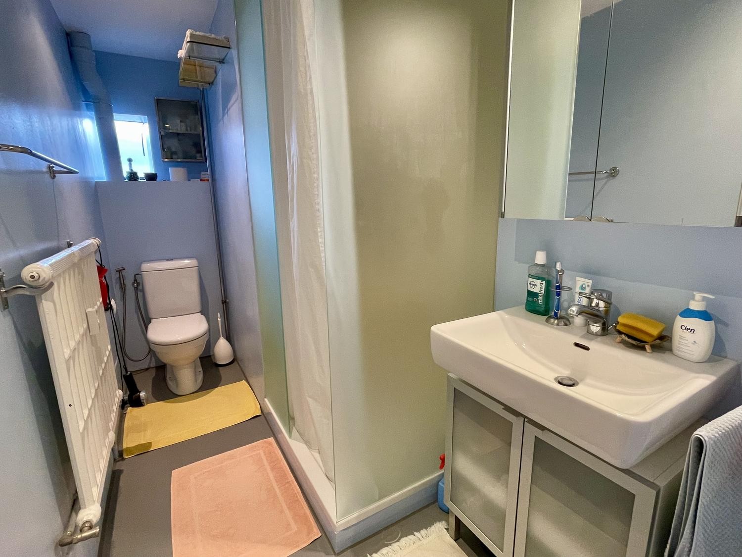 Appartement de 3 ½ pièces