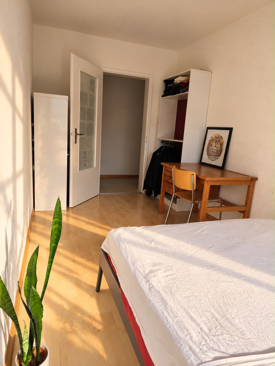 Chambre en colocation
Trois chambres deviennent disponibles de manière permanente dans une rue chaleureuse près de Claraplatz
Salut !
Au cours des prochains mois, de novembre à janvier, trois chambres de notre WG deviendront disponibles de manière permanente car nous emménageons respectivement ave, photo 6 sur 10