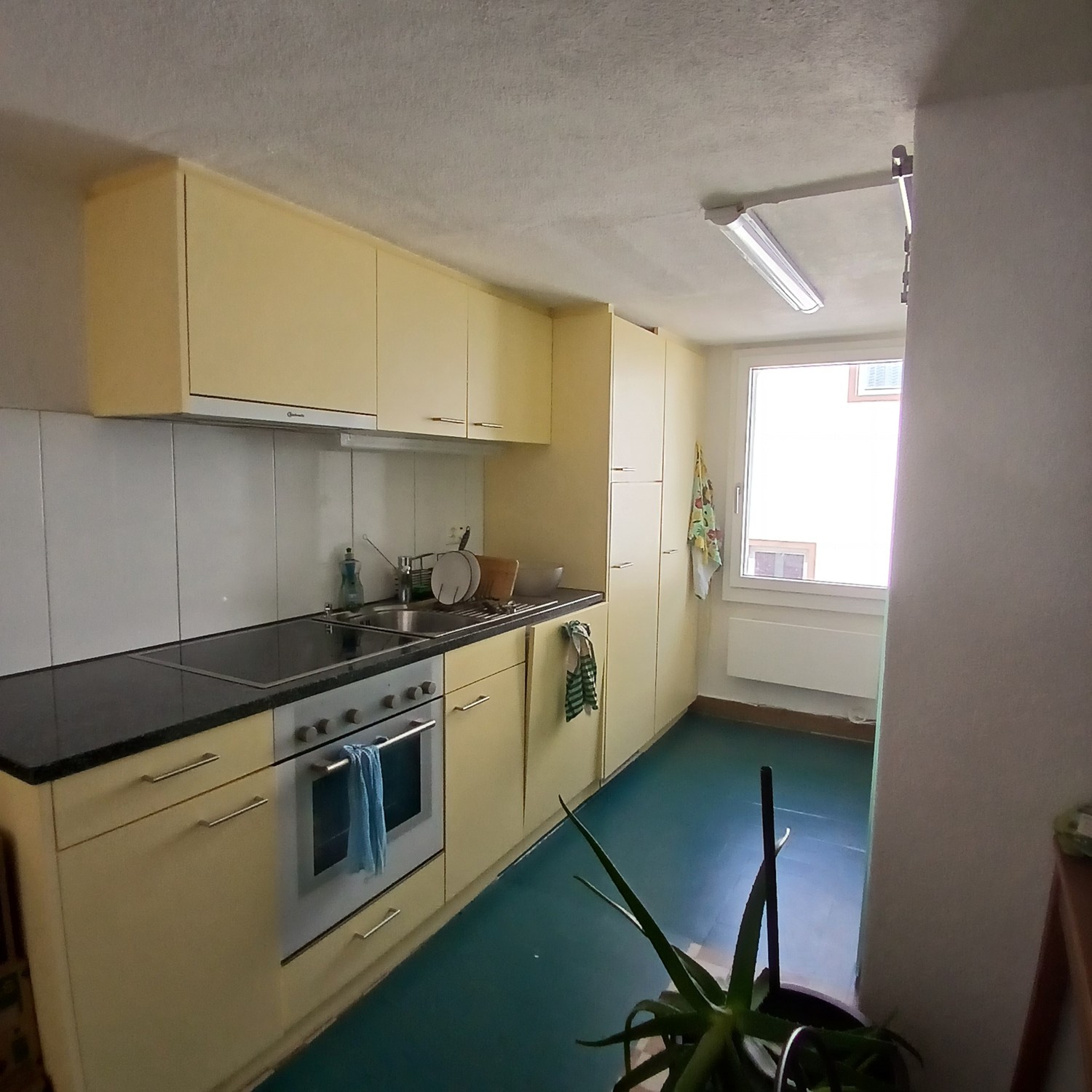 Appartement de 3 ½ pièces