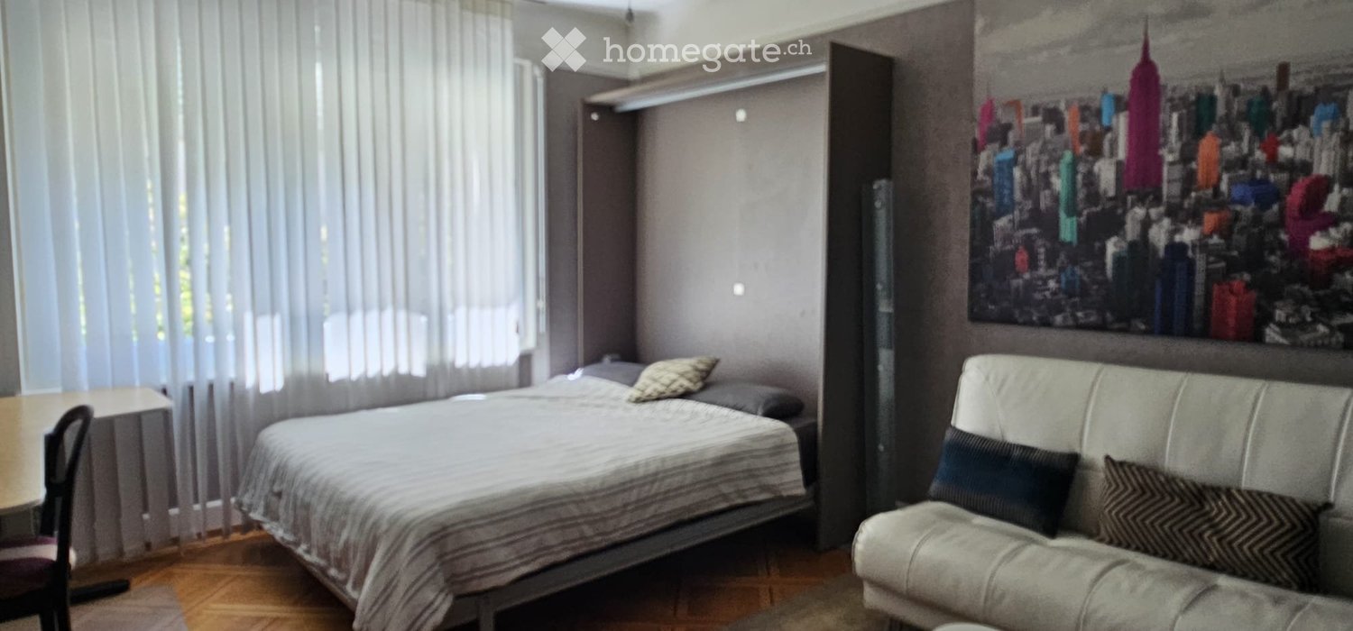 1 ½ rooms apartment, photo 2 sur 5