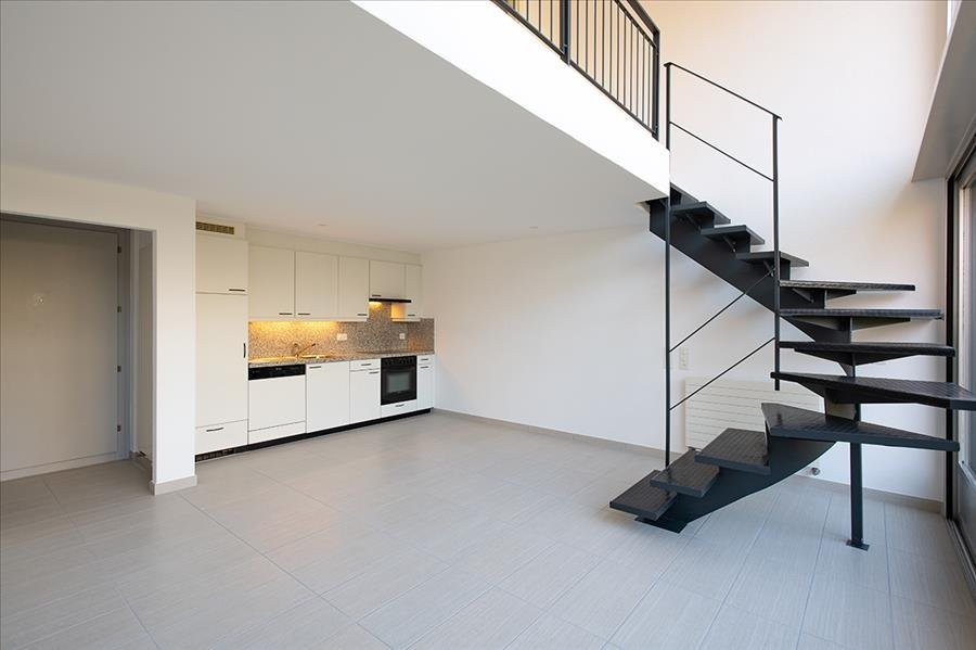 2 ½ pièces duplex