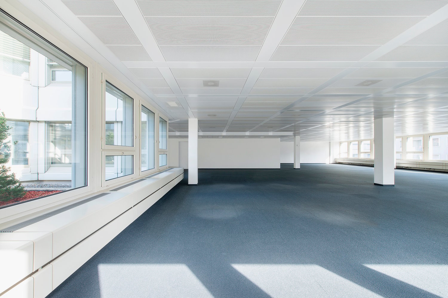 350m² de bureaux, photo 6 sur 6