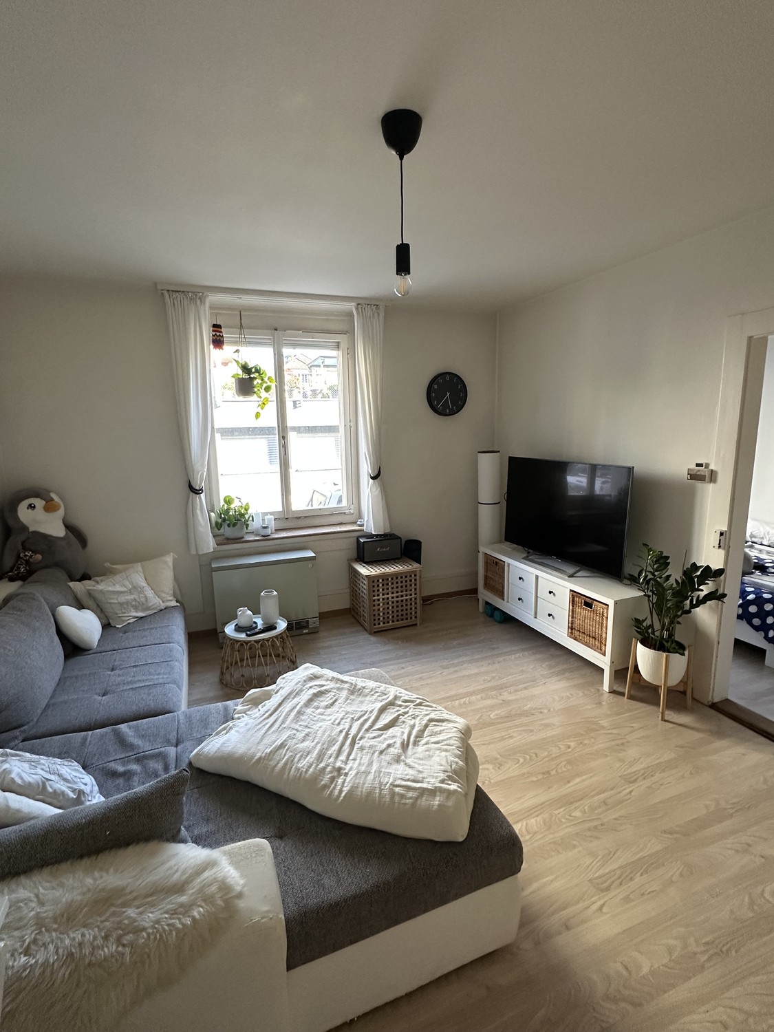Appartement de 2 ½ pièces