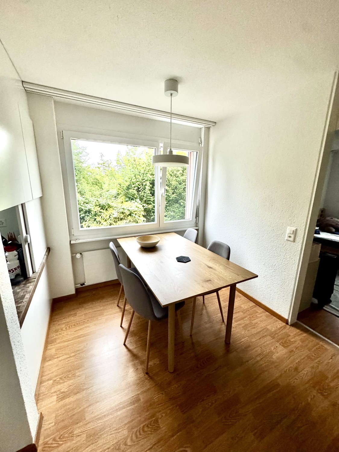 Appartement de 3 ½ pièces