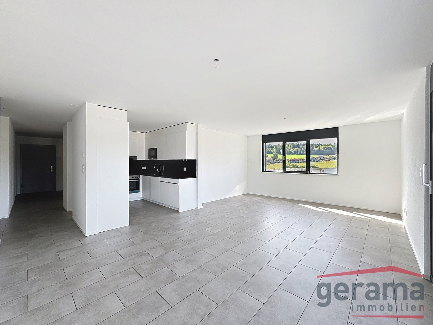 4 ½ rooms apartment