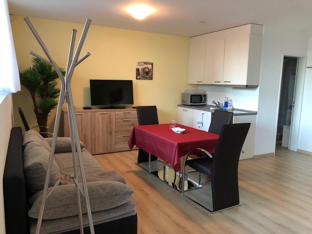 Appartement de 1 ½ pièces