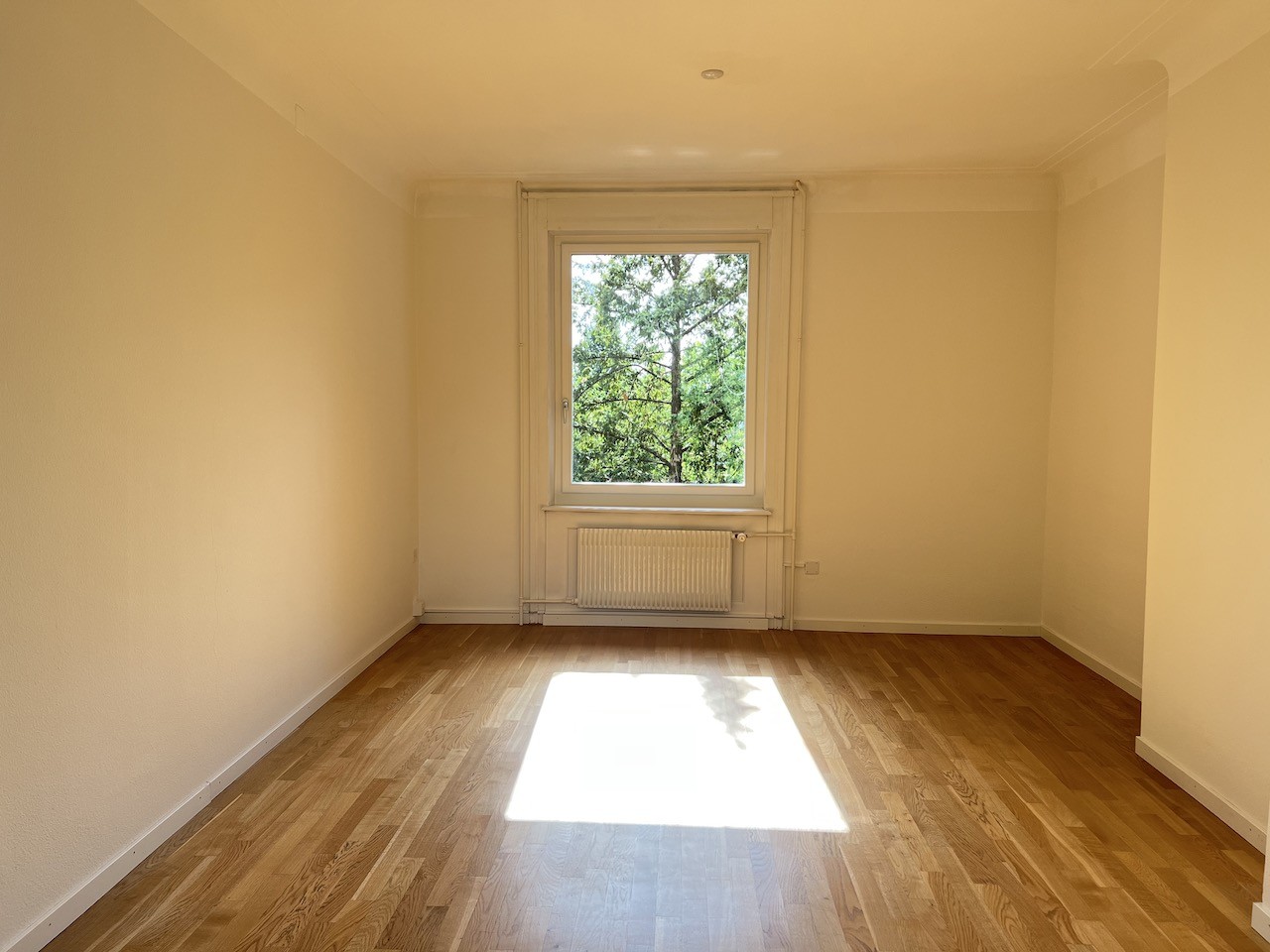 150m² bureau