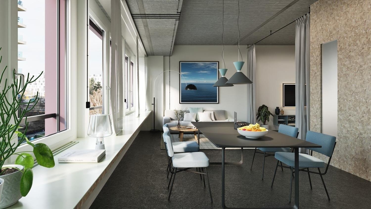Loft 1 ½ pièces
