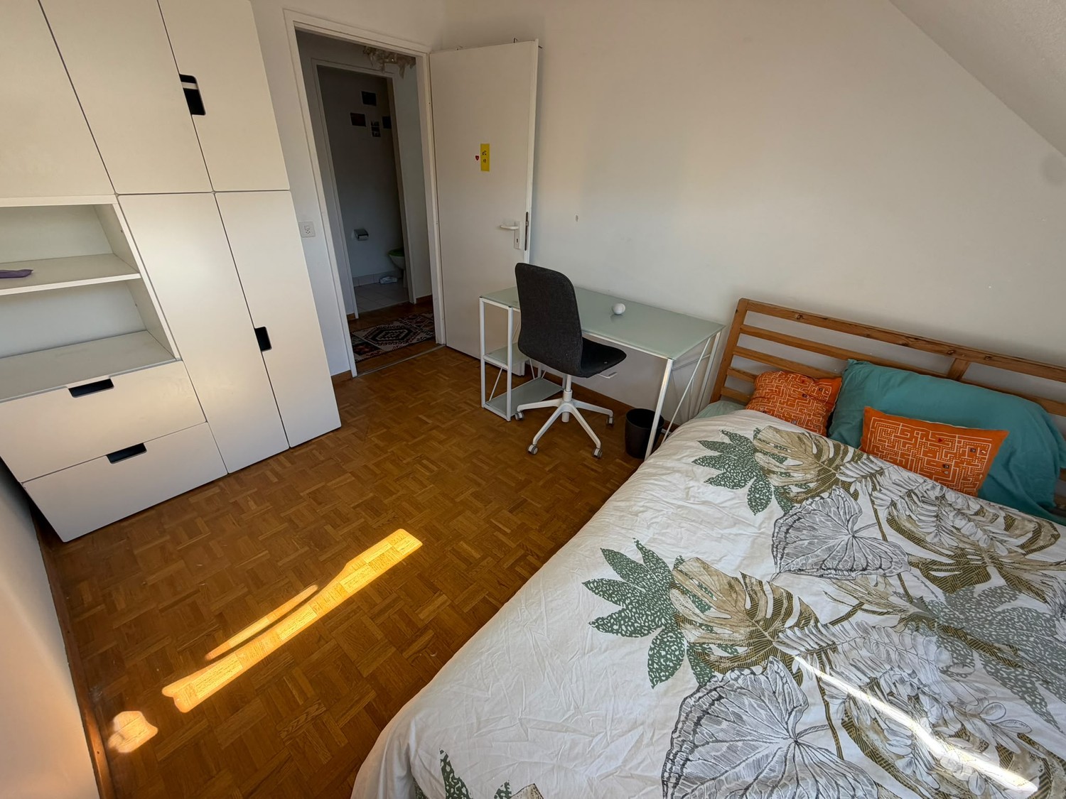 Room in a shared flat