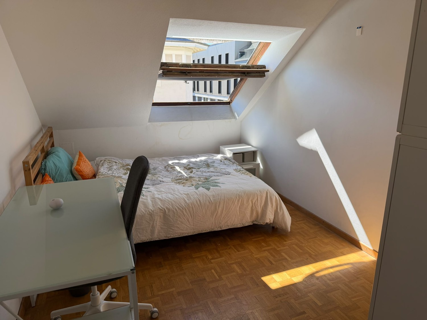 Room in a shared flat