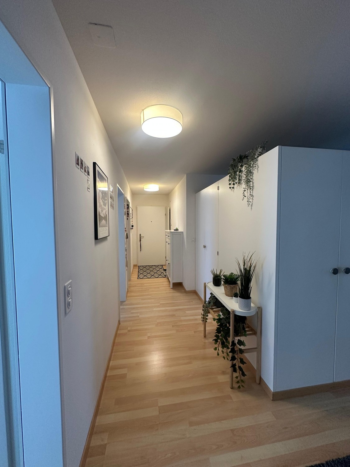 Appartement 3 ½ pièces