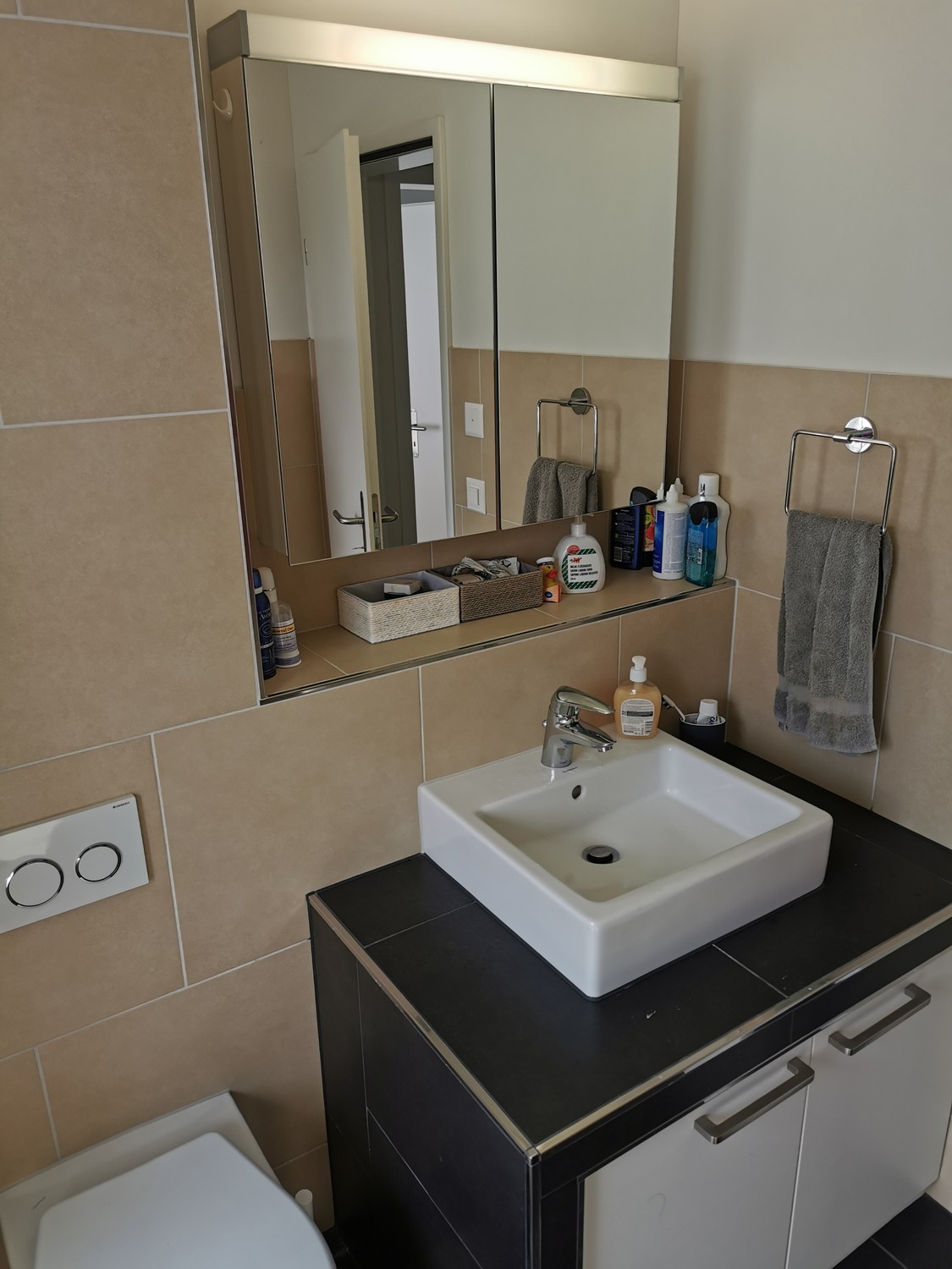 Appartement de 3 ½ pièces