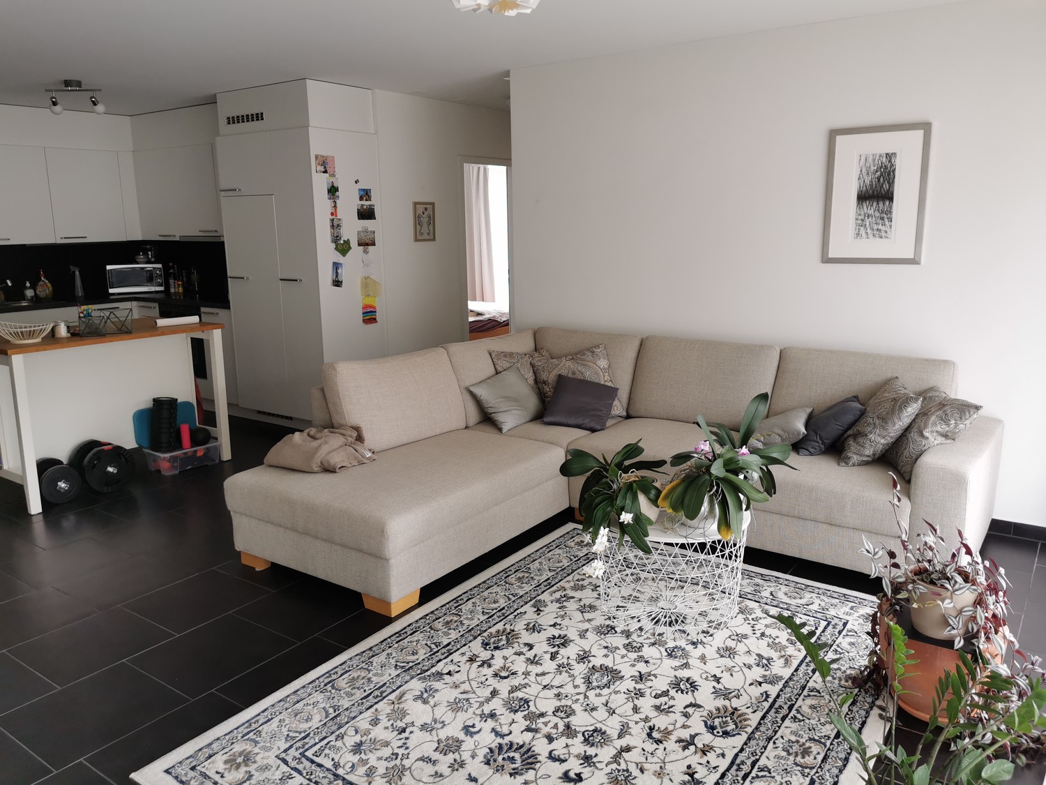 Appartement de 3 ½ pièces
