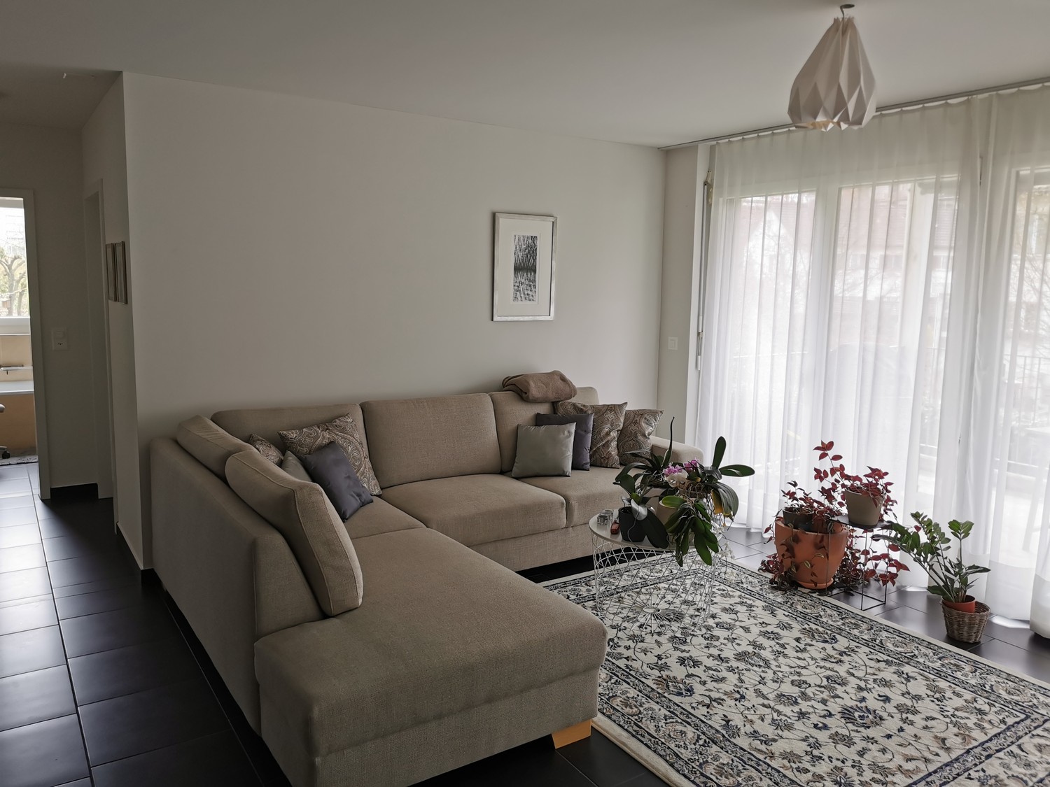 Appartement de 3 ½ pièces
