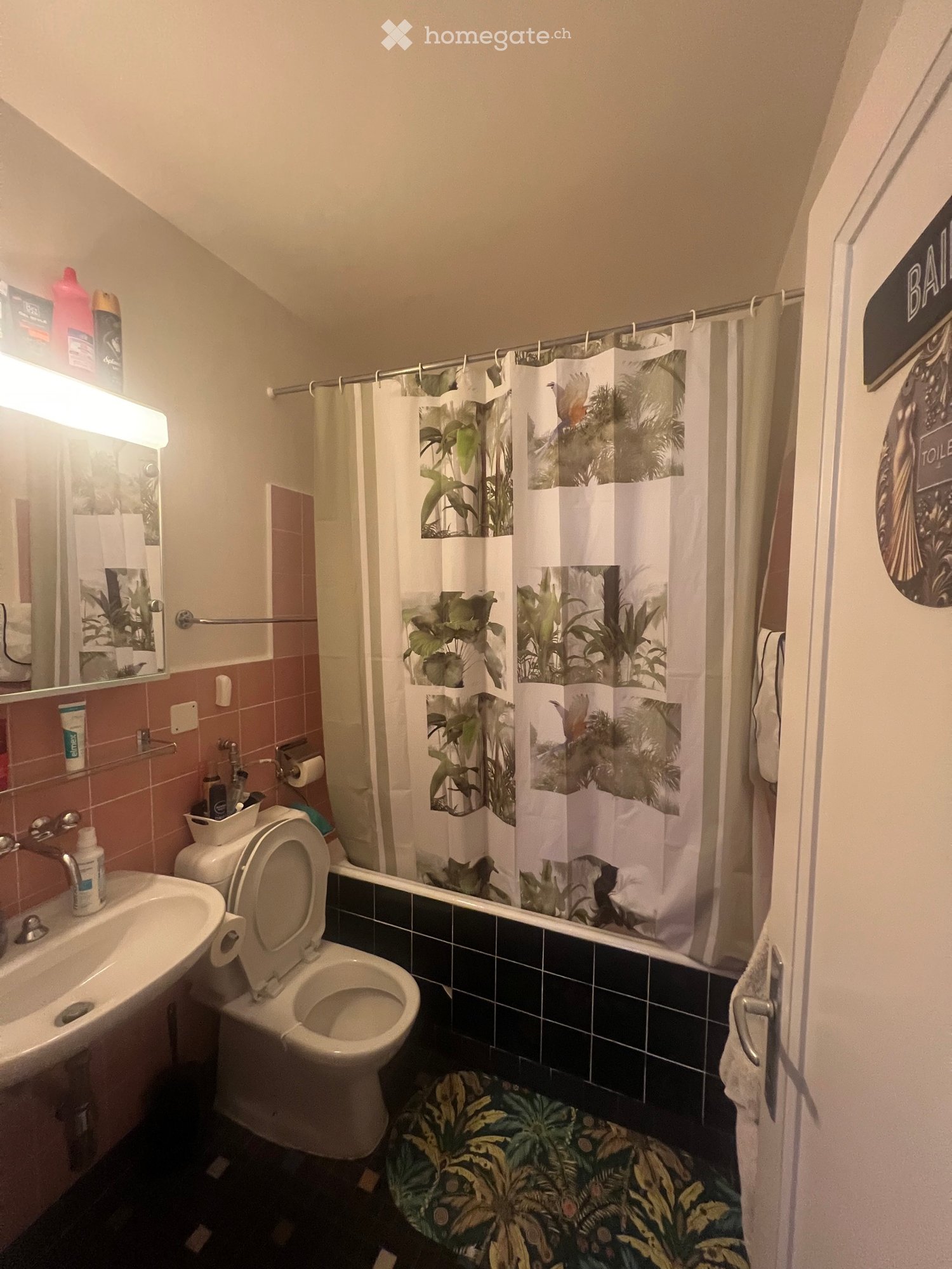 3 rooms apartment, photo 4 sur 5
