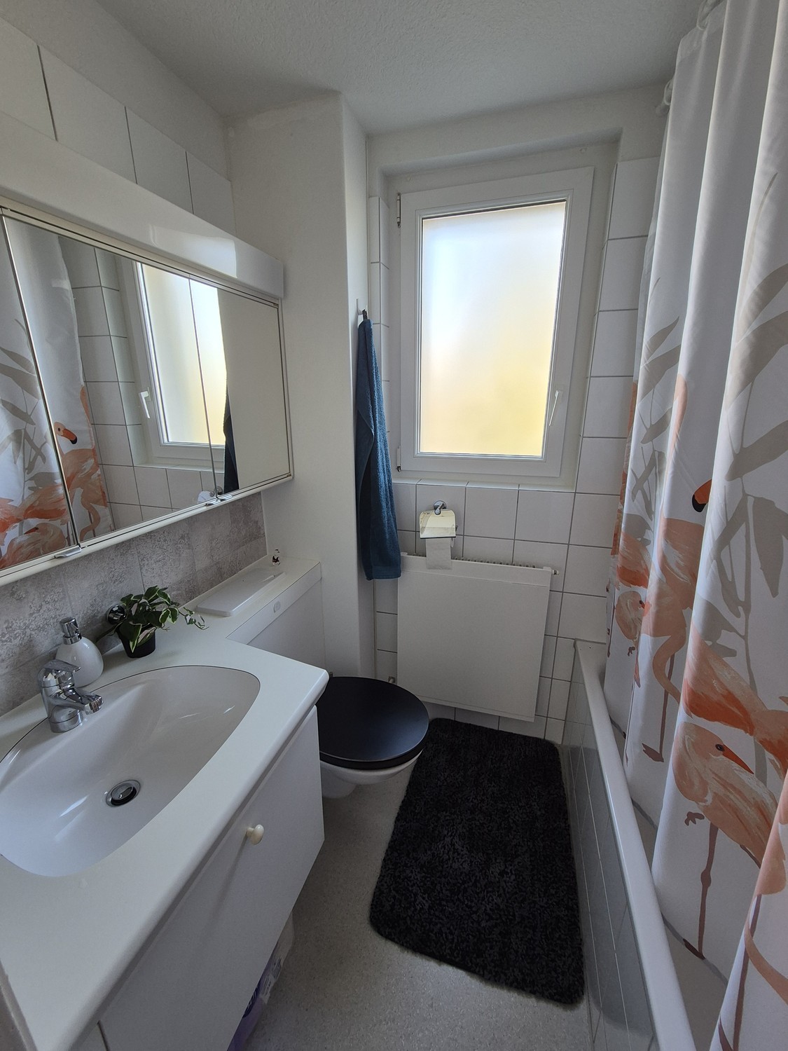 Chambre dans une colocation