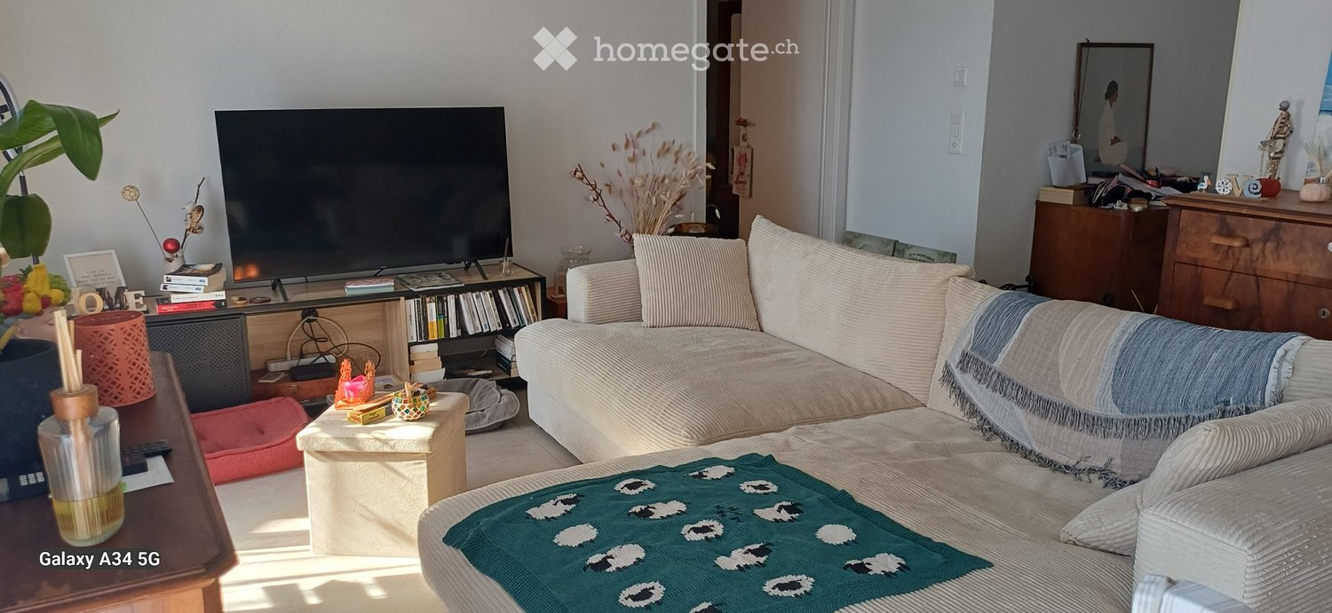 1 ½ rooms apartment, photo 2 sur 4