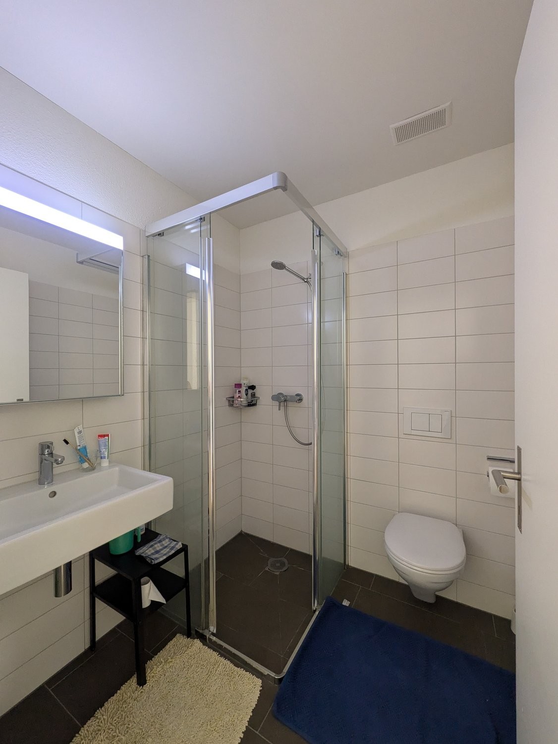 Appartement meublé de 3 ½ pièces