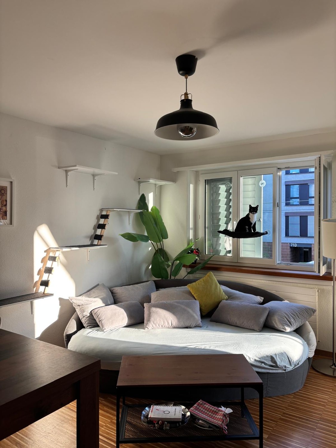 Appartement de 3 ½ pièces, photo 1 sur 6