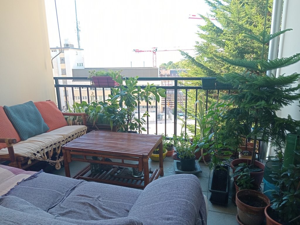 3 rooms apartment