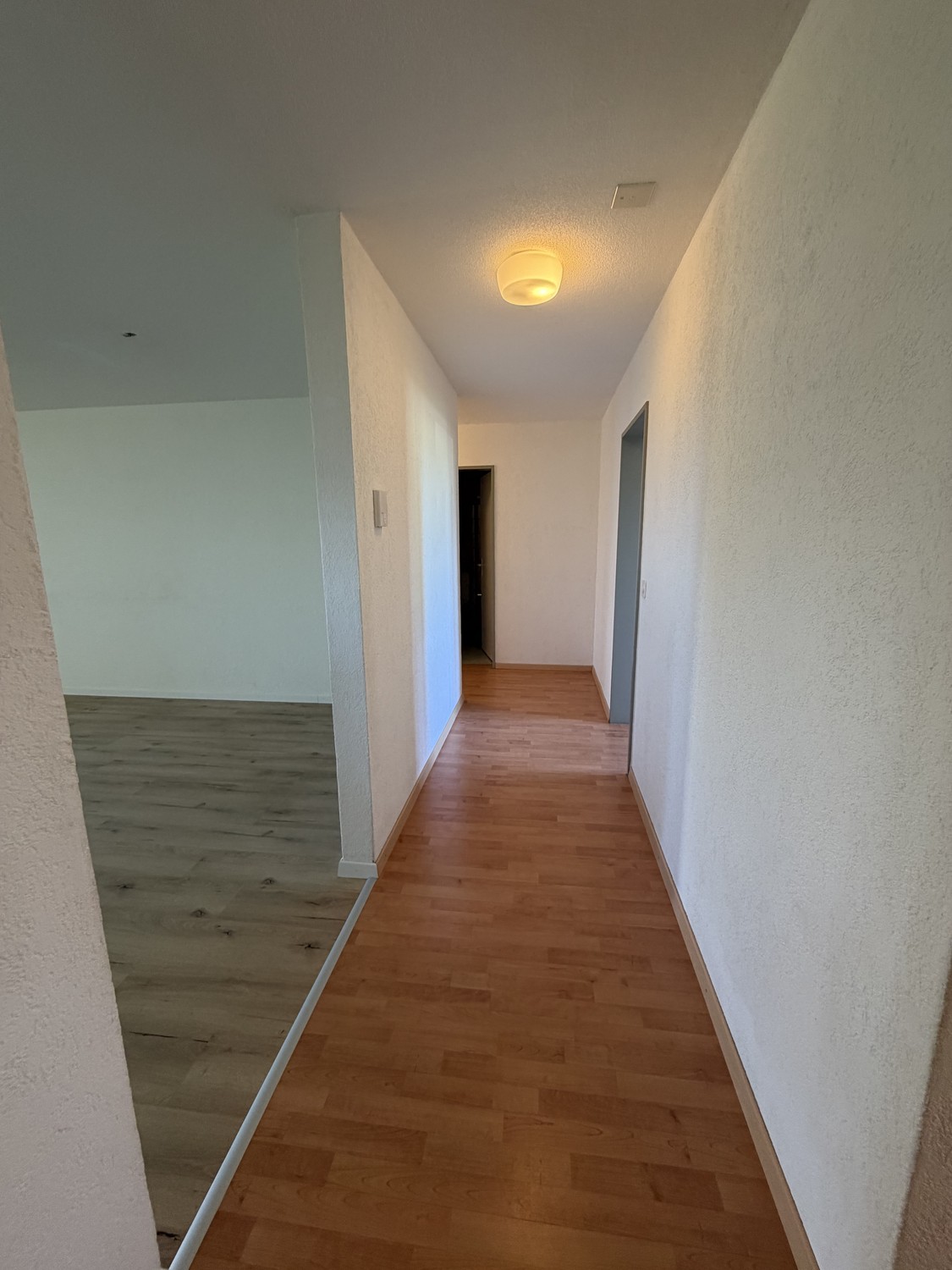 Appartement de 3 ½ pièces, photo 5 sur 10