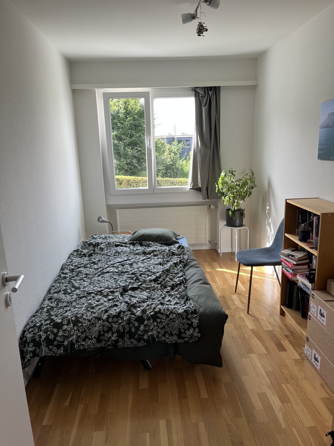 Chambre en colocation