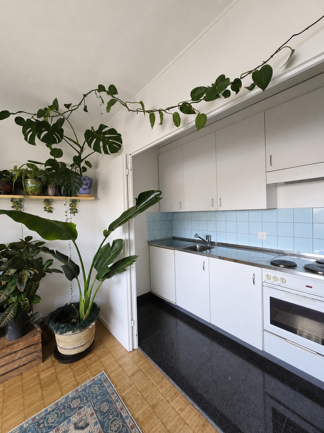 Appartement de 2 pièces, photo 7 sur 7