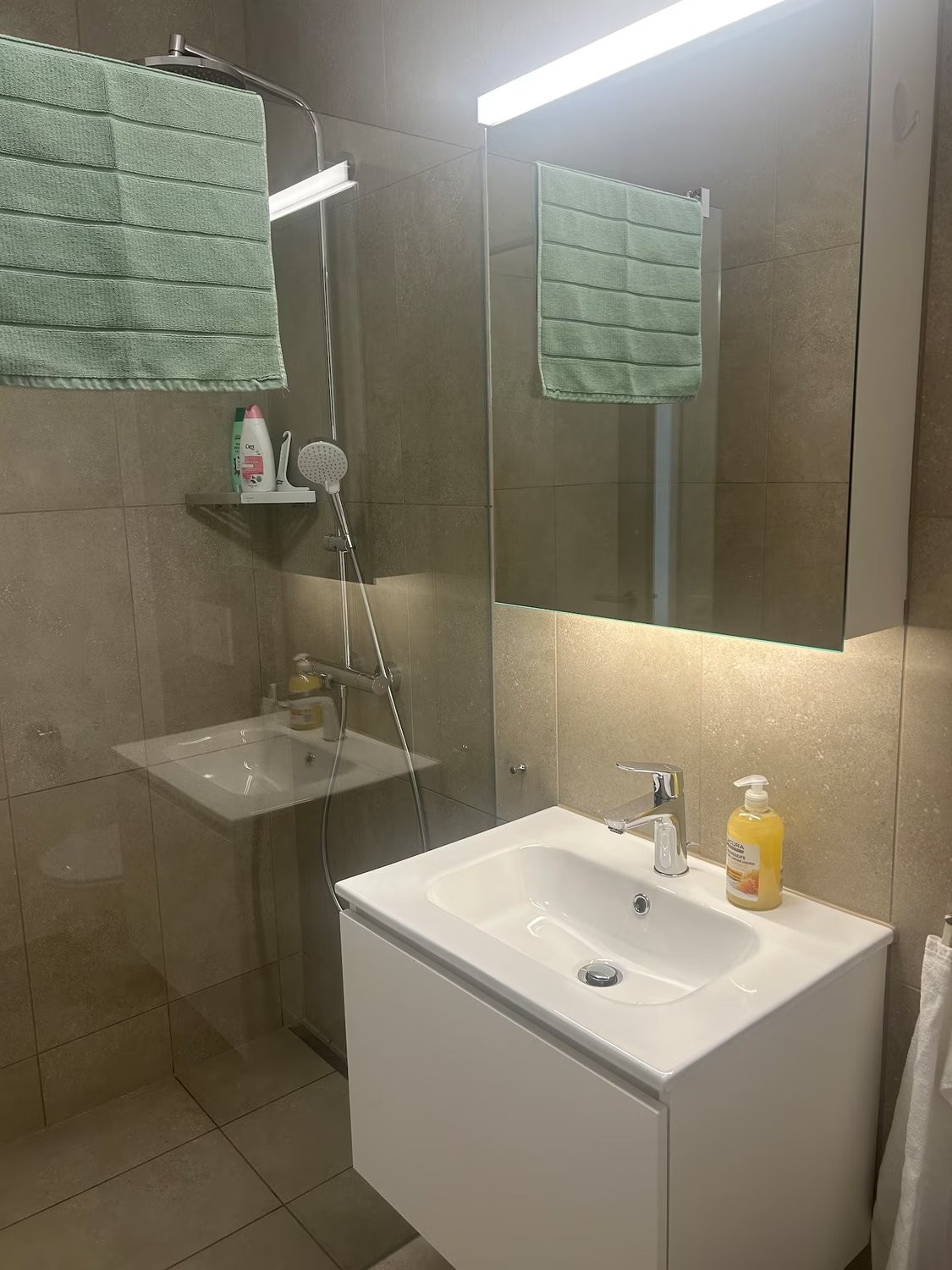 Appartement meublé de 3 ½ pièces