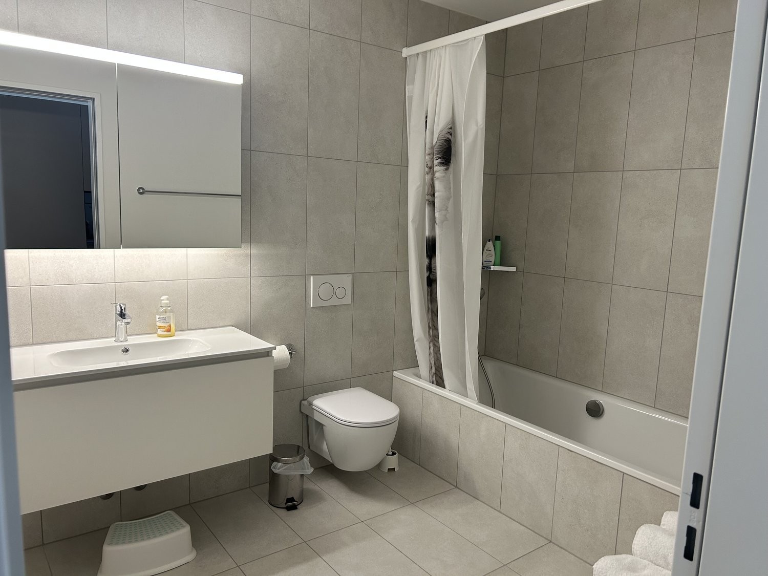 Appartement meublé de 3 ½ pièces