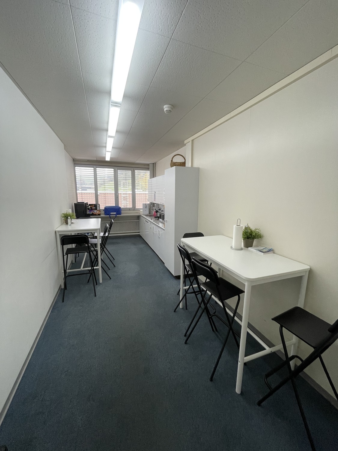 300-1240m² commercial