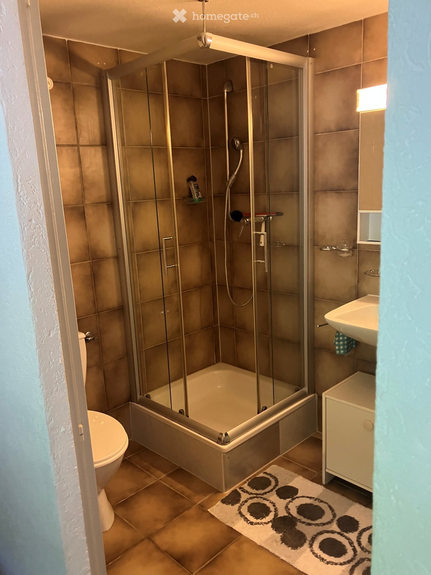 1 ½ rooms apartment, photo 5 sur 5