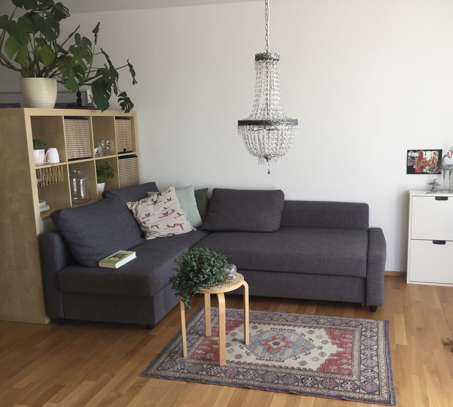 Appartement de 1 ½ pièces, photo 1 sur 7