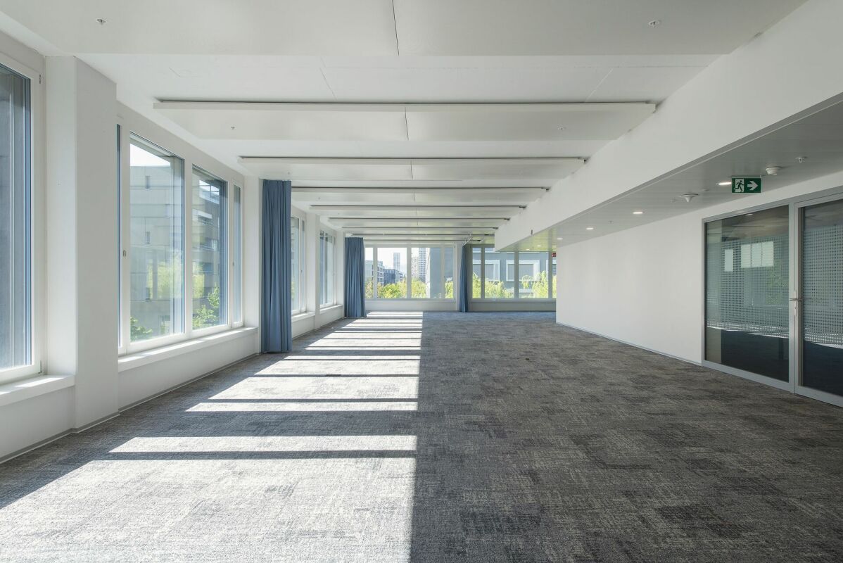 3817m² bureau