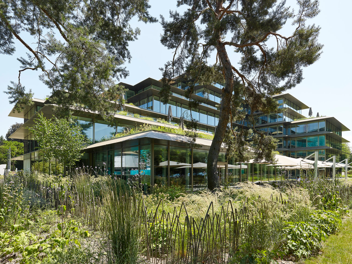 1451m² bureau