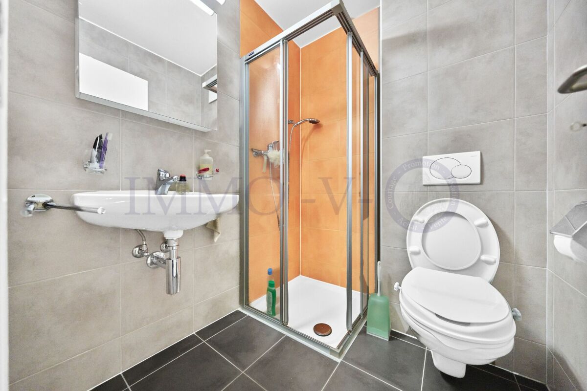 4 ½ rooms terrace flat, photo 9 sur 10